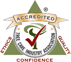 TCIA Accredited